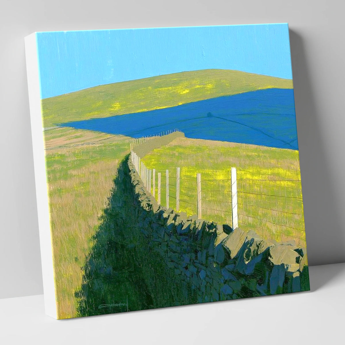 Vibrant Shadows on Loadpot Hill lake district fell canvas wall art