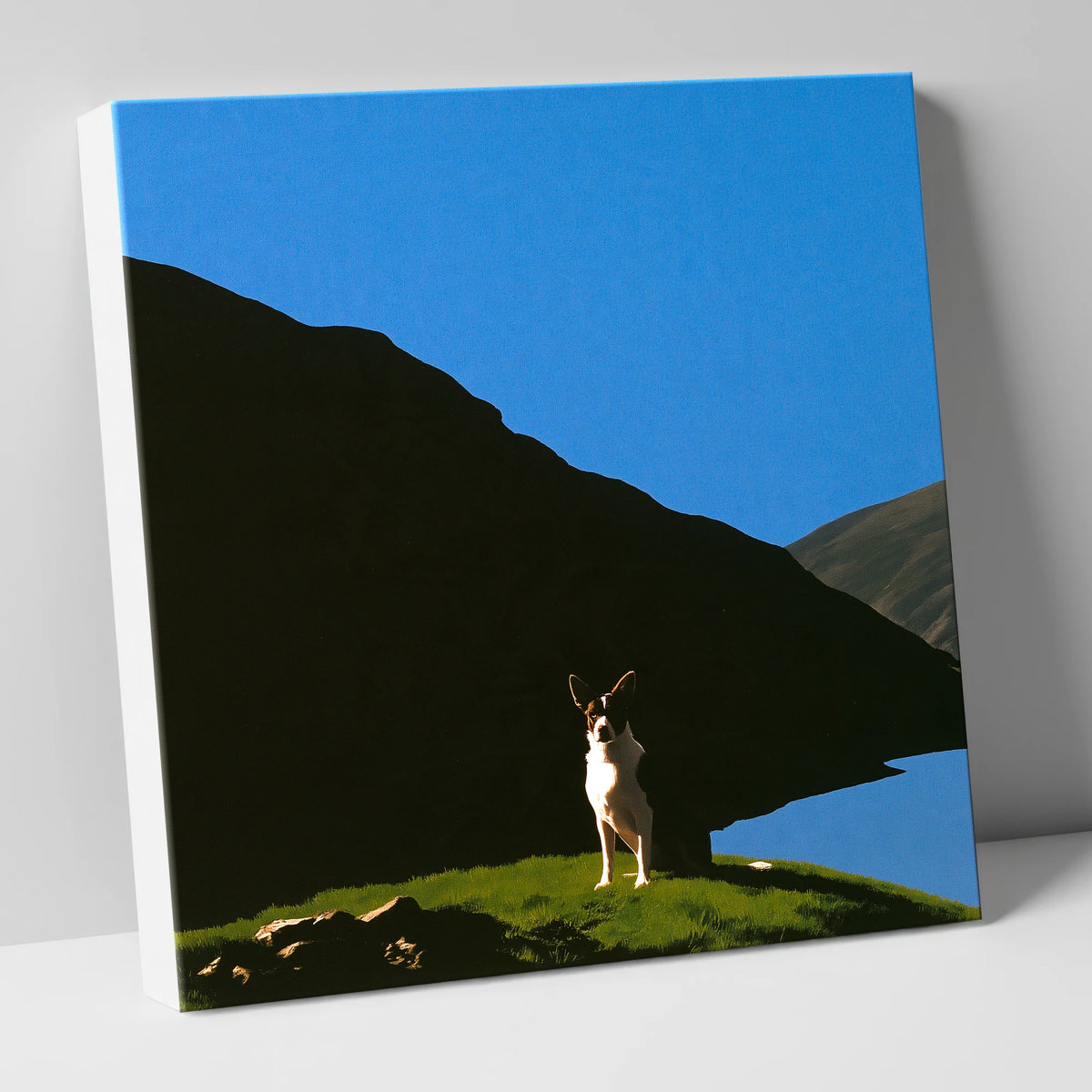 Sunlit Dog Beneath Dark Fells gifts for dog walkers canvas wall art