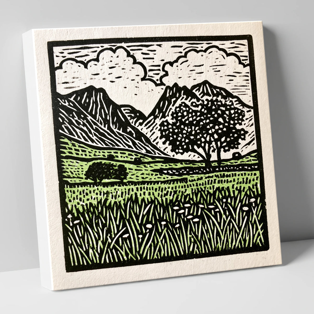 Langdale Pikes Spring Meadow lake district fell canvas wall art