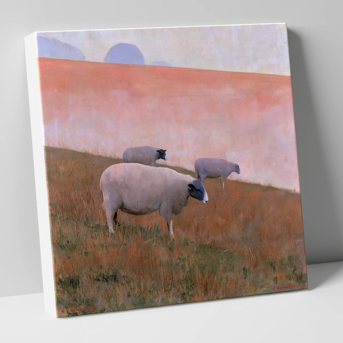 Herdwick Sheep on Pastel Fellside lake district wildlife canvas wall art