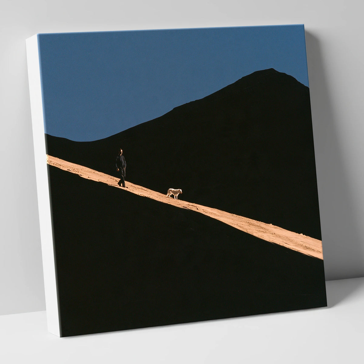 Dog Walker on Sunlit Skiddaw gifts for dog walkers canvas wall art