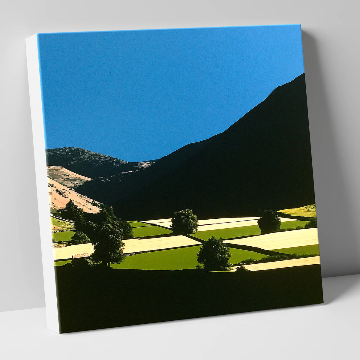 Dale Patchwork in Deep Shadow lake district valley canvas wall art