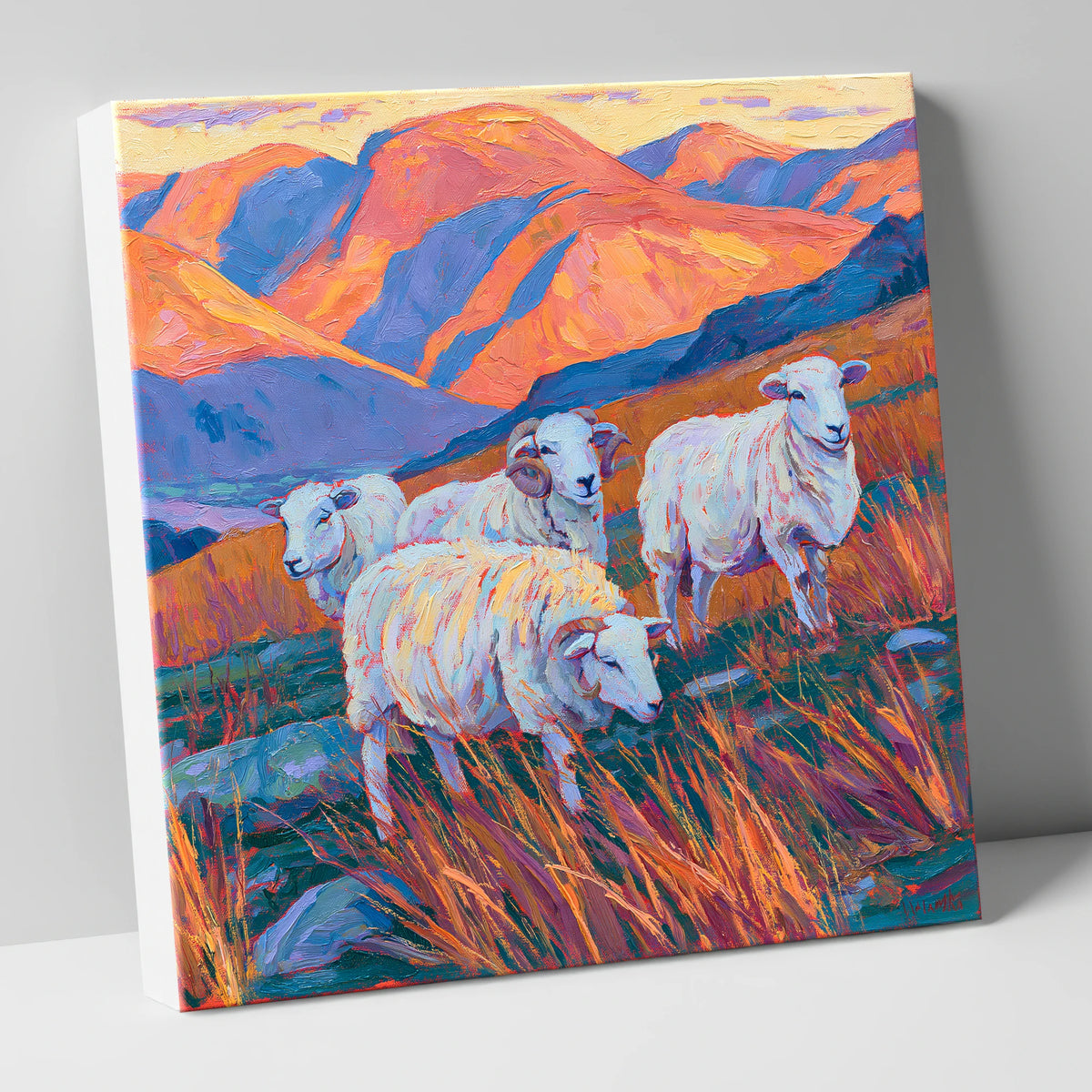 Herdwick Sheep in Sunset Fells lake district wildlife canvas wall art