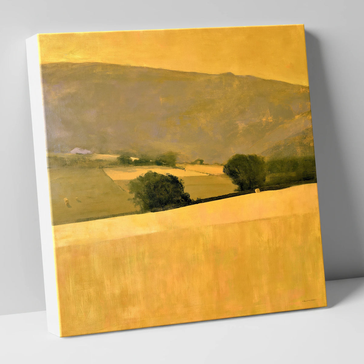 Golden Fields in a Dale lake district valley canvas wall art