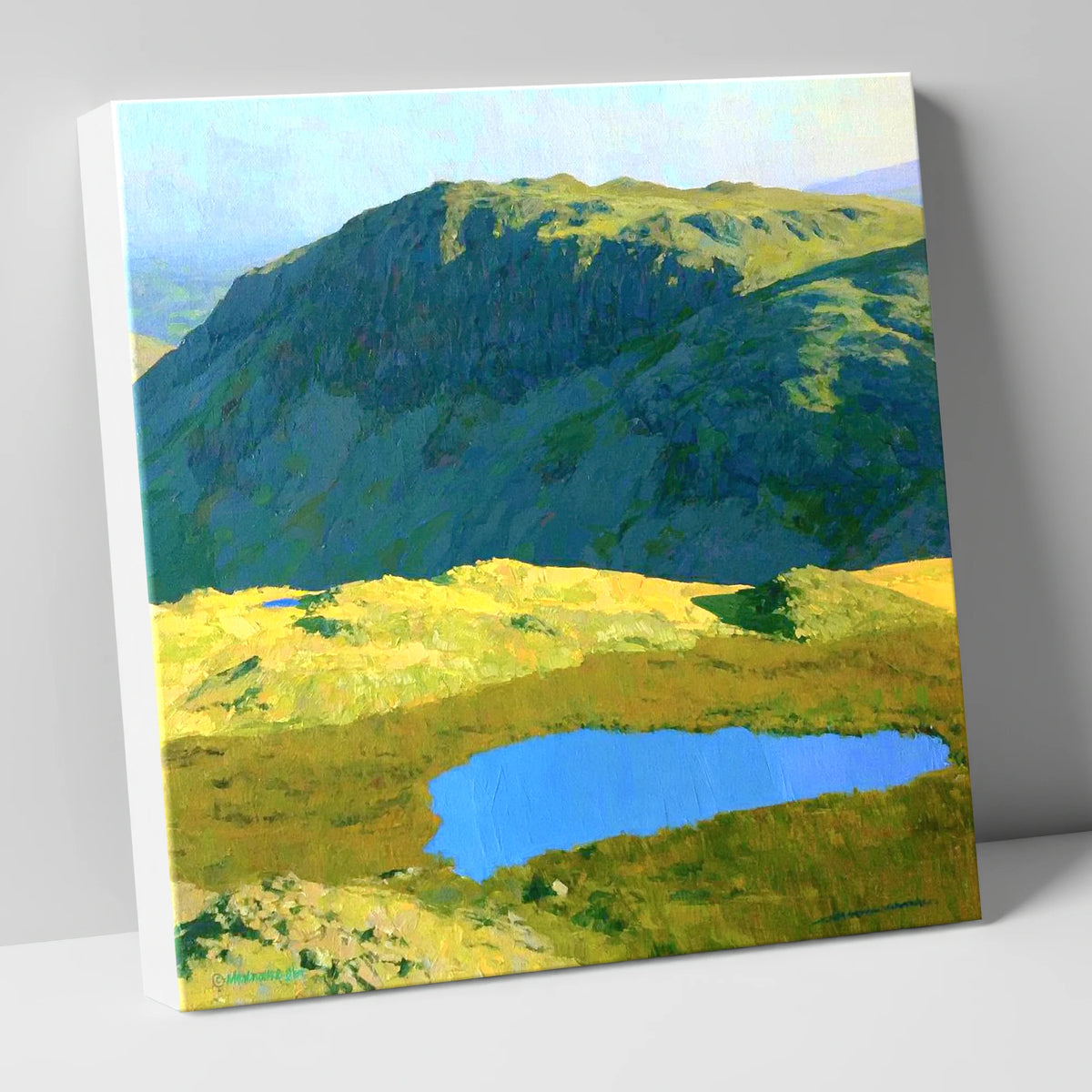 Vibrant Tarn Below Rosthwaite Fell lake district fell canvas wall art