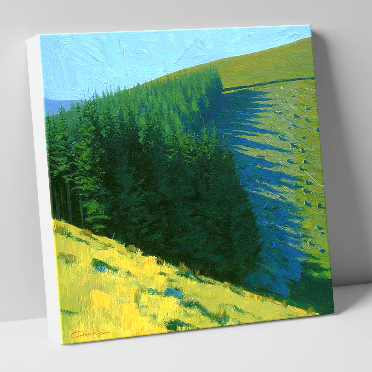 Conifer Shadows on Broom Fell lake district fell canvas wall art
