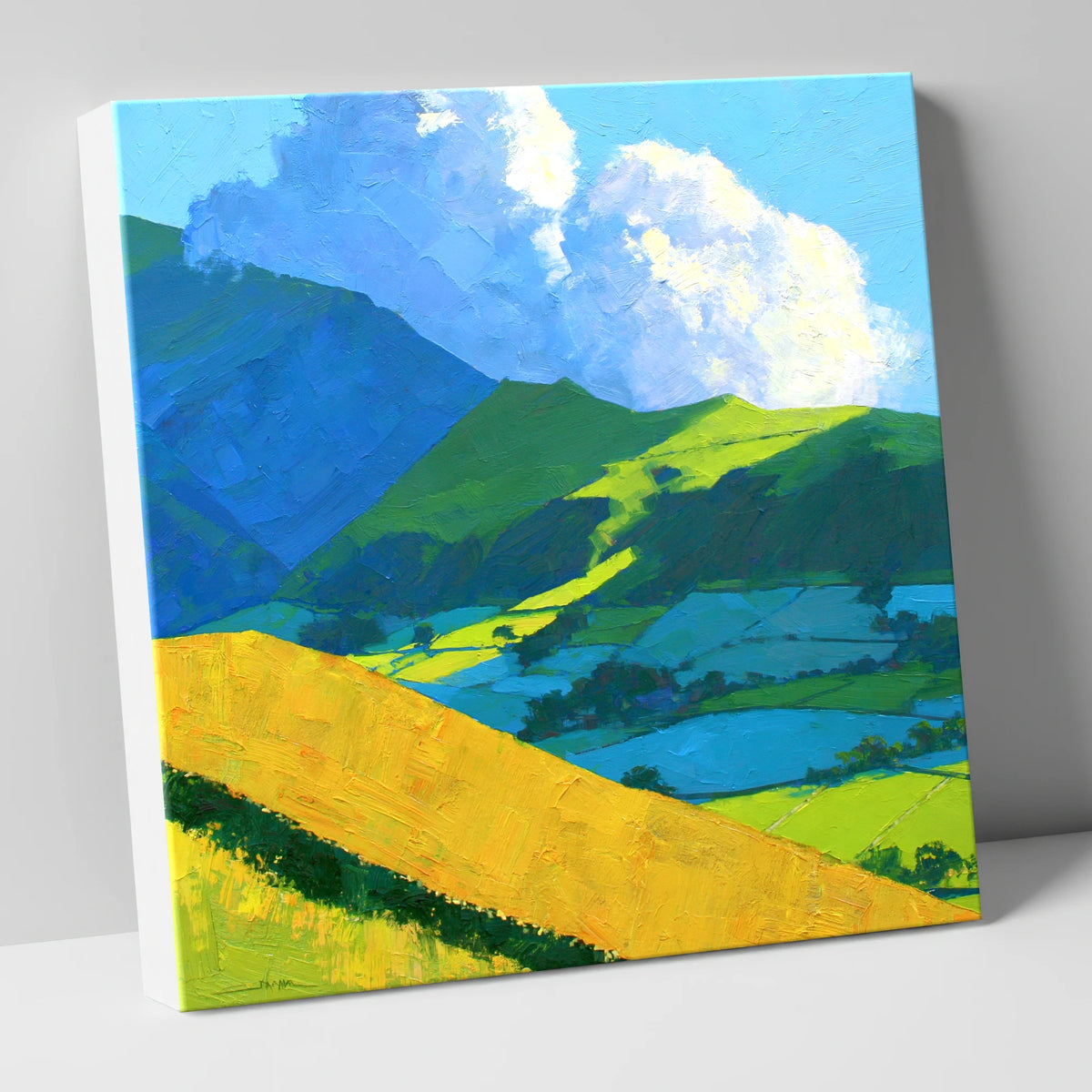Sunlight and Shadow over Lakeland Fells lake district fell canvas wall art