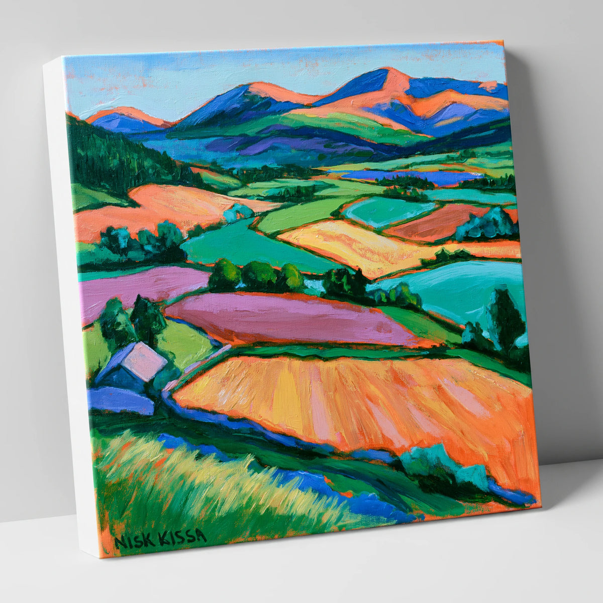 Vibrant Patchwork Fields in a Dale lake district valley canvas wall art