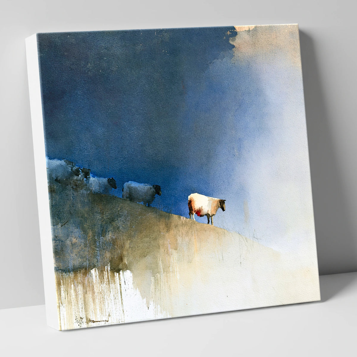 Herdwick Sheep Against Indigo Sky lake district wildlife canvas wall art