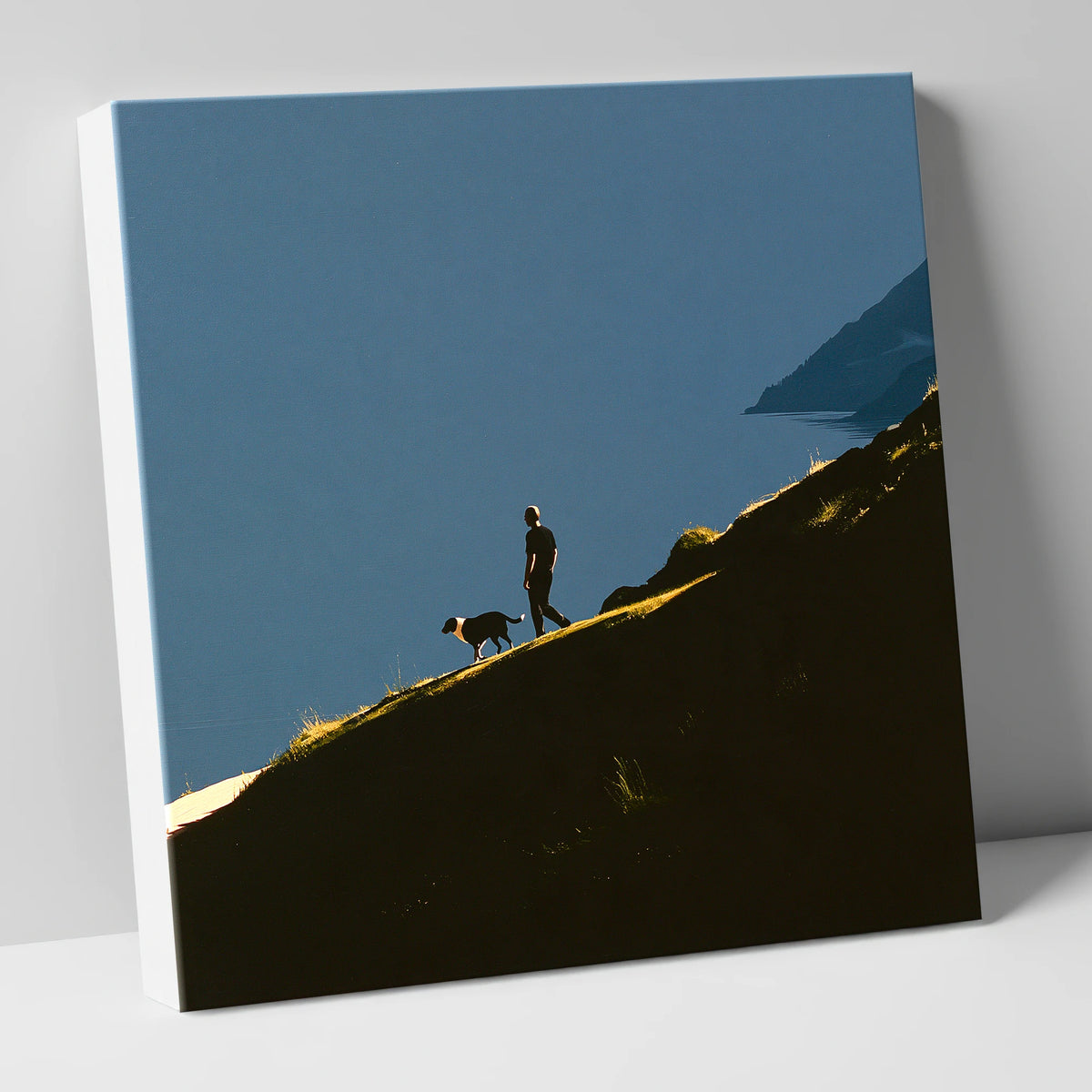 Dog Walker on Sunlit Fell Ridge gifts for dog walkers canvas wall art