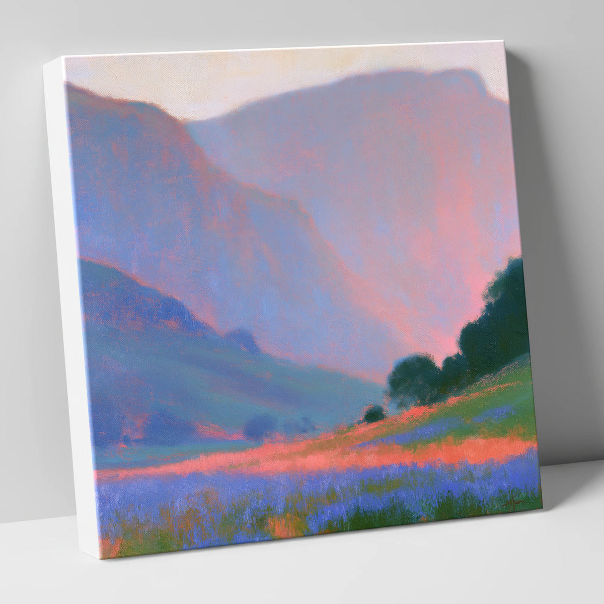 Pink Light Over Valley Fells lake district valley canvas wall art