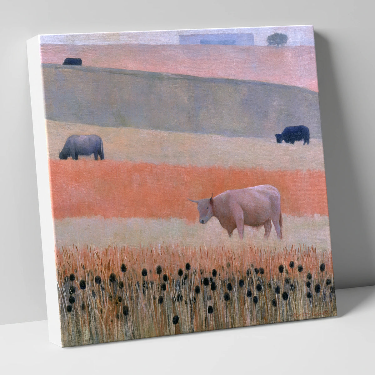 Highland Cattle in Pastel Fells lake district wildlife canvas wall art