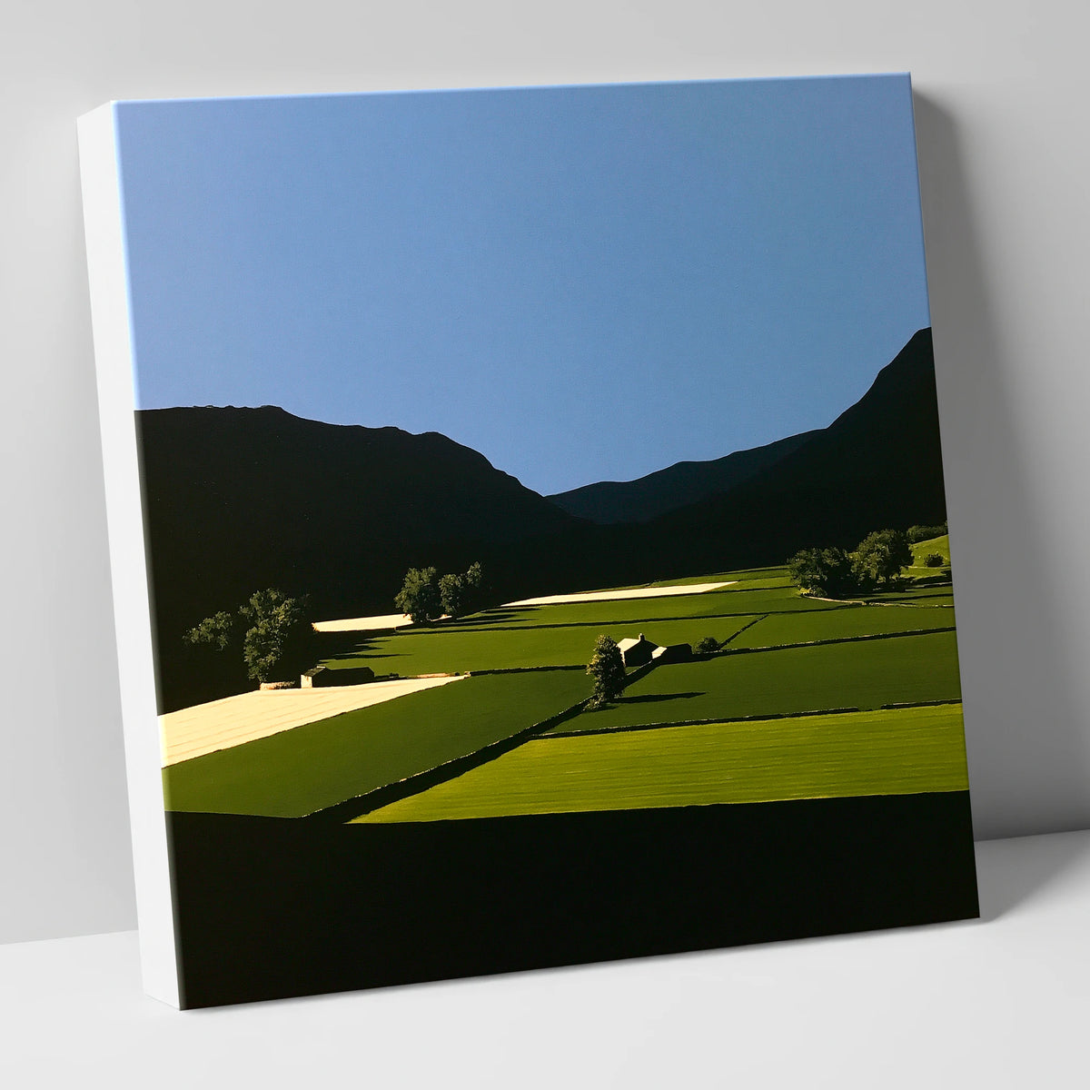 Sunlit Patchwork Fields in a Dale lake district valley canvas wall art