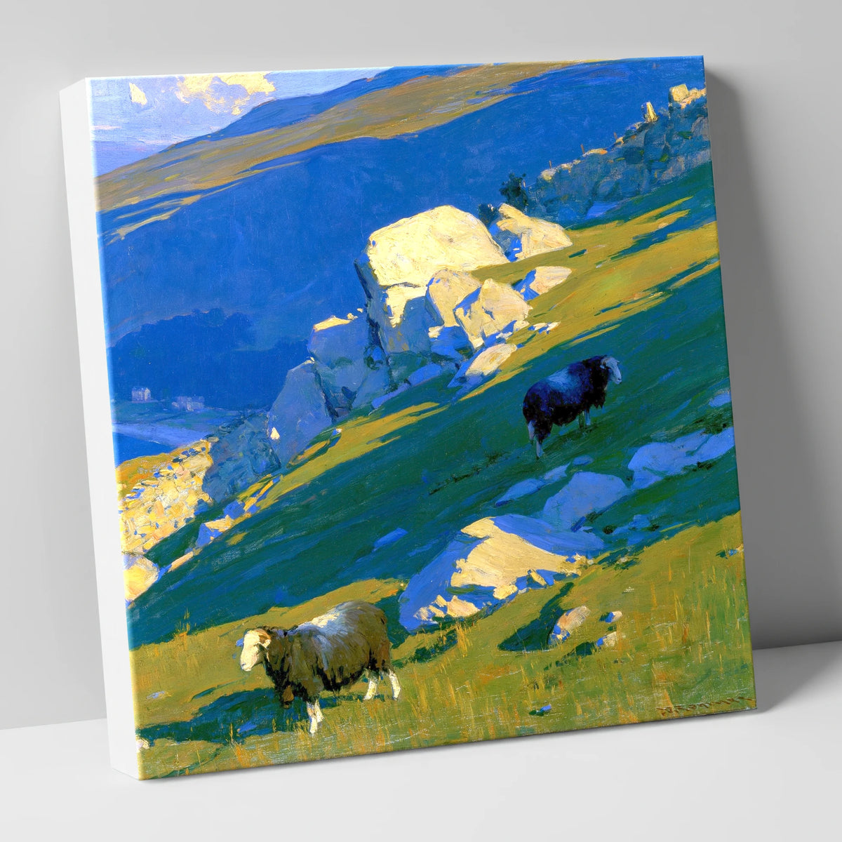 Herdwick Sheep on Sunlit Fell lake district wildlife canvas wall art