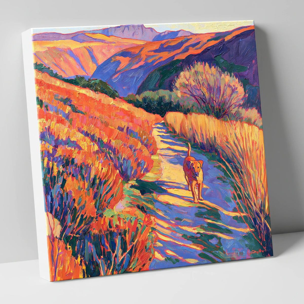 Sunlit Dog Path Near Patterdale gifts for dog walkers canvas wall art