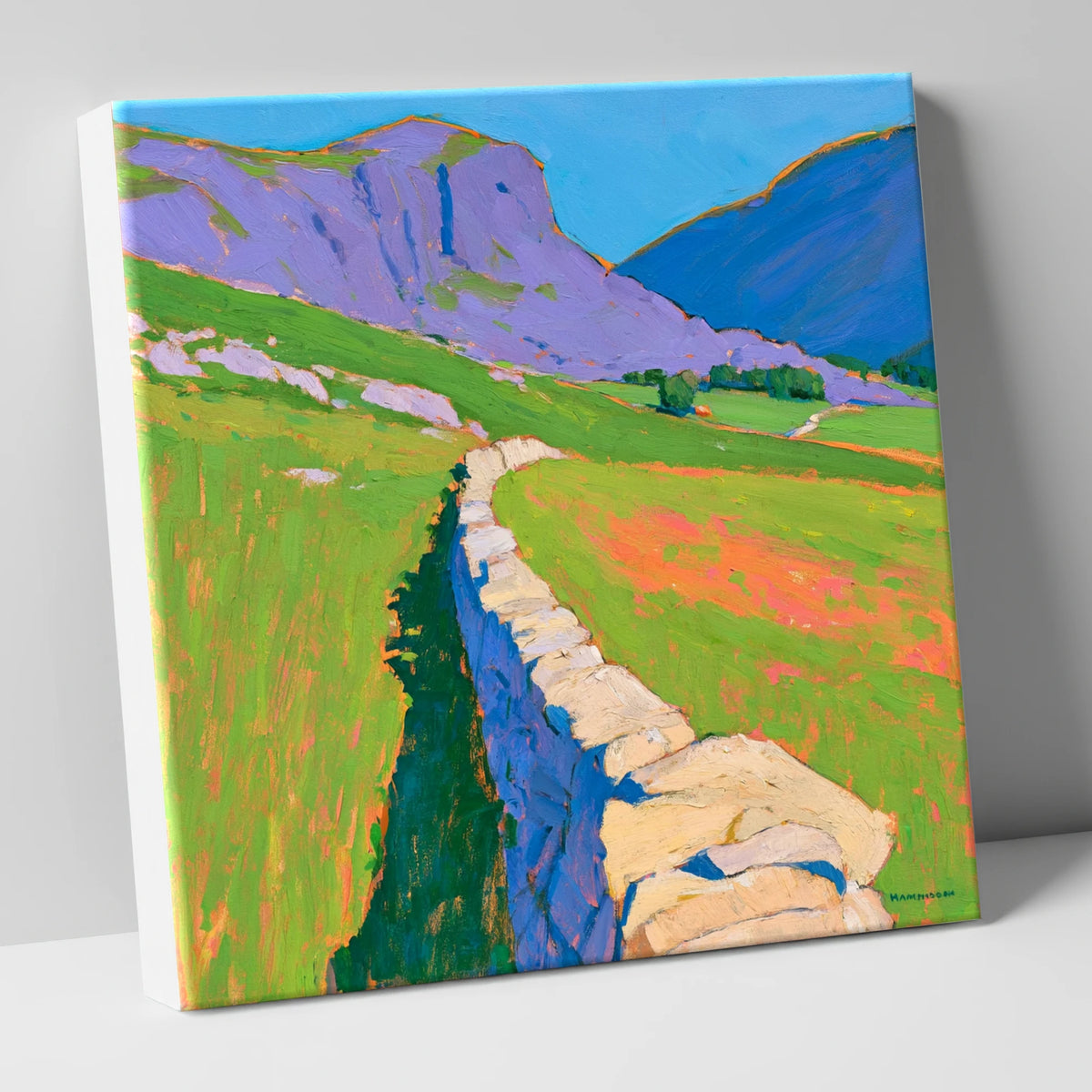 Vibrant Valley Drystone Wall lake district valley canvas wall art