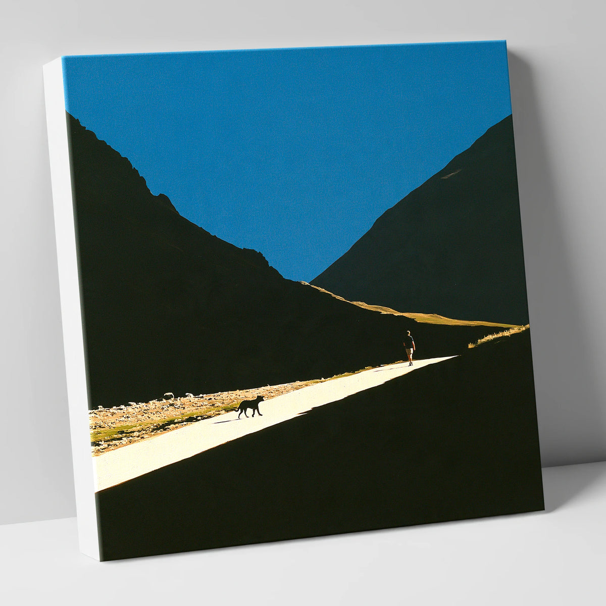 Silhouettes on Sunlit Wasdale Path gifts for dog walkers canvas wall art