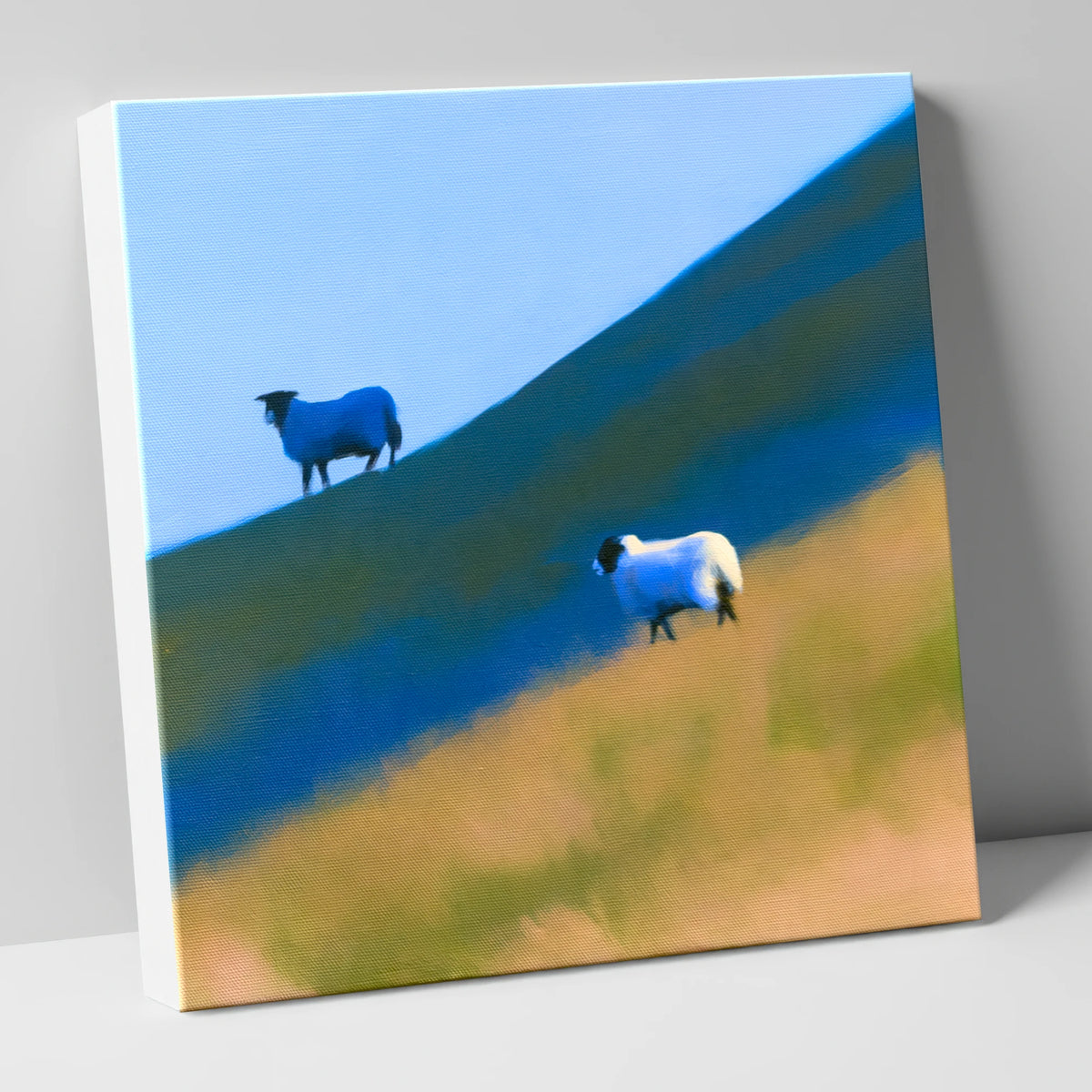 Herdwick Sheep on Blue Fellside lake district wildlife canvas wall art