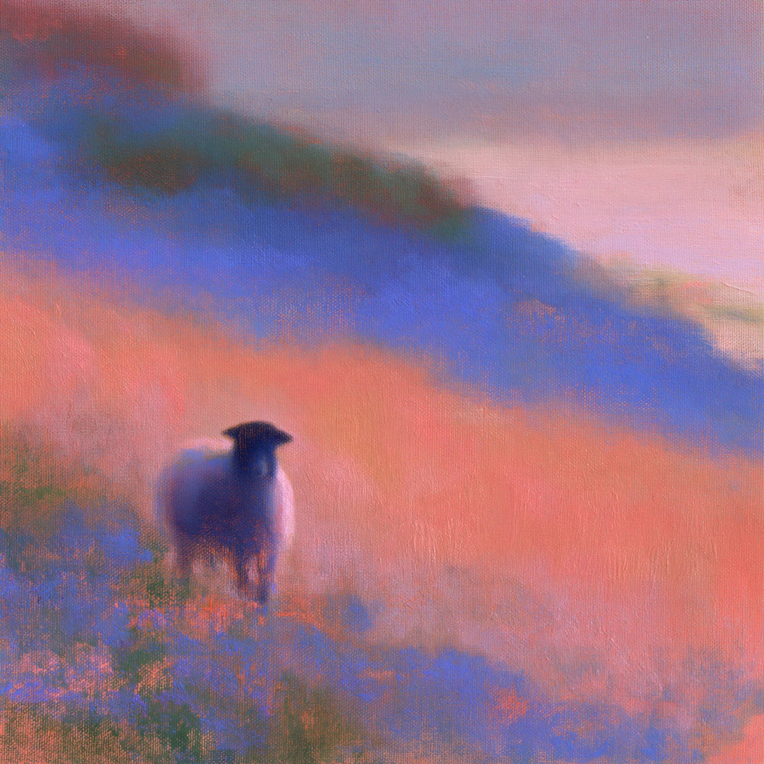 Choosing a Herdwick Sheep Painting: A Gift Guide