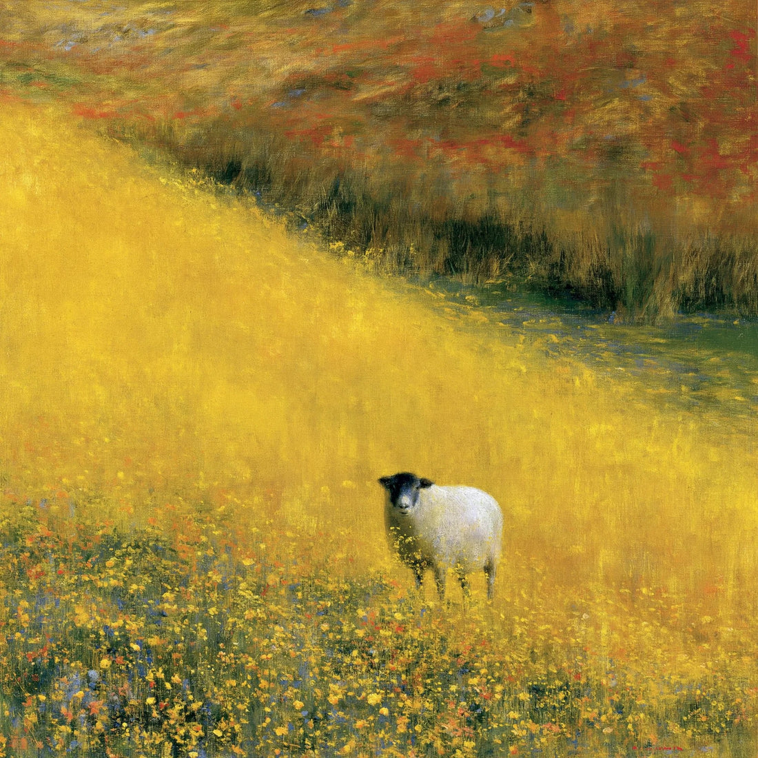 The Herdwick Sheep: An Icon of the Lake District Fells