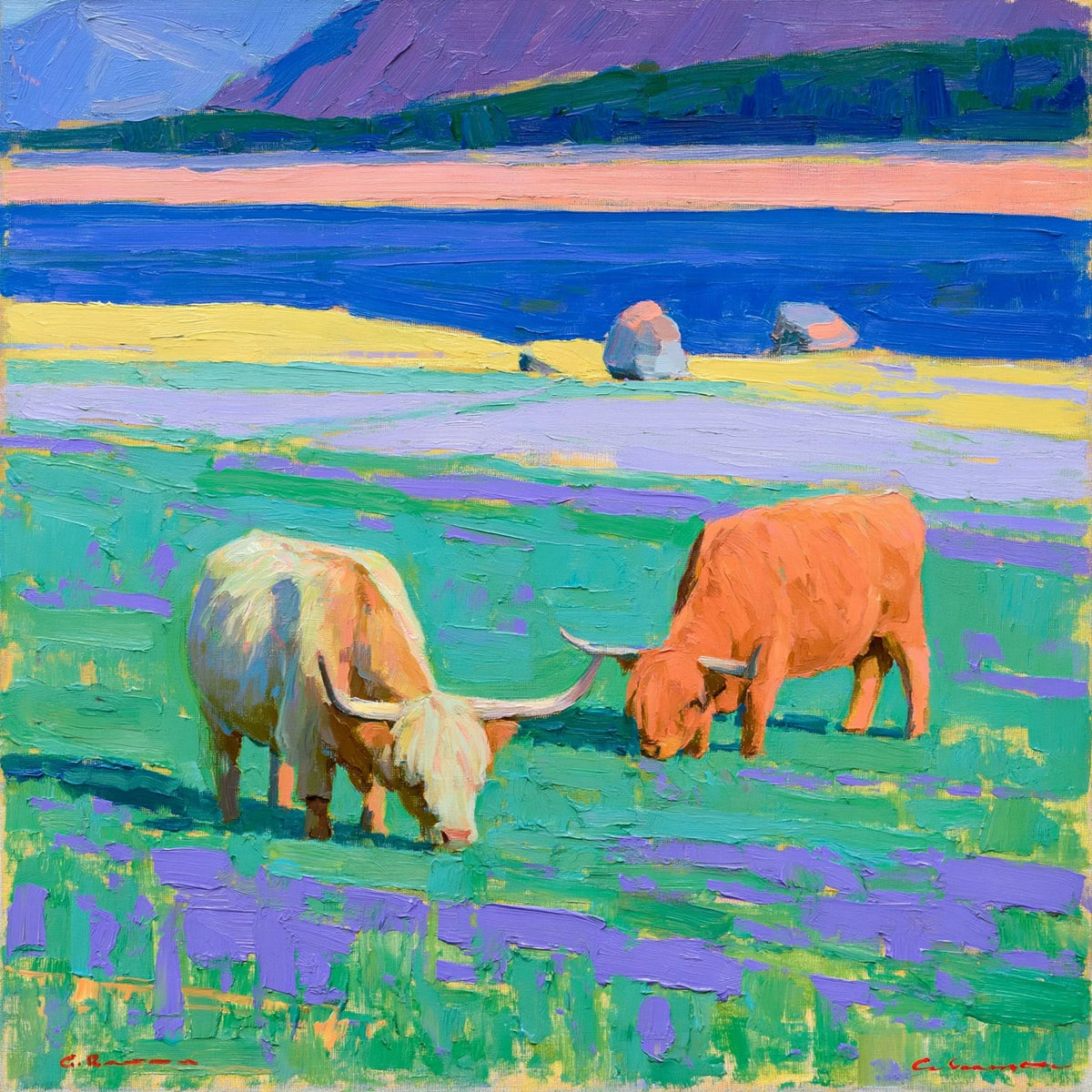 Highland cattle grazing in the Lake District