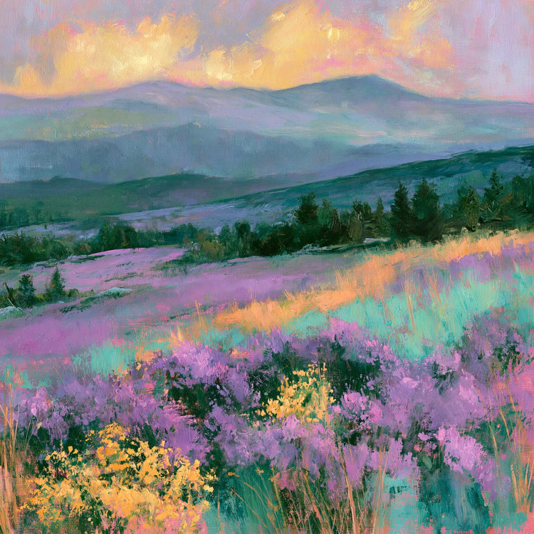 Purple heather on a Lake District fellside