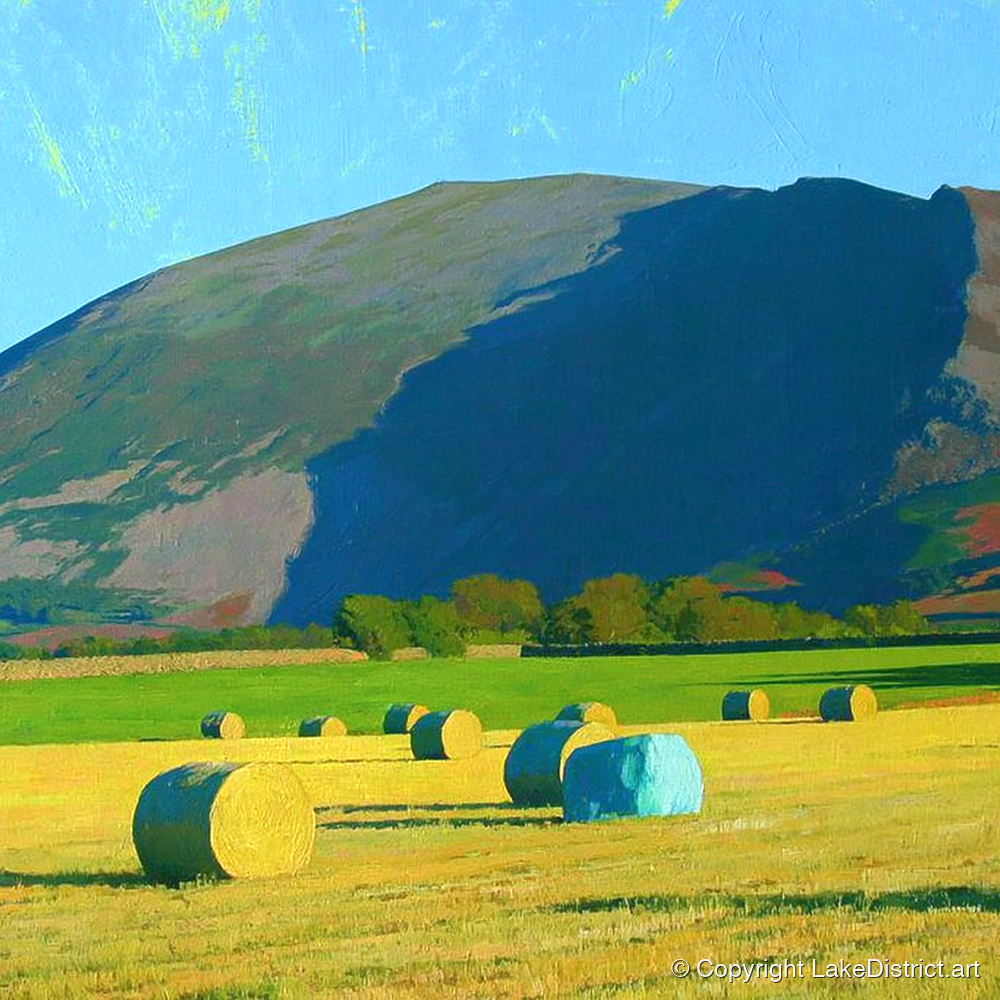 Blencathra Above Sunlit Hay Bales - lake district fell art print and canvas by Daphne Morley A.I