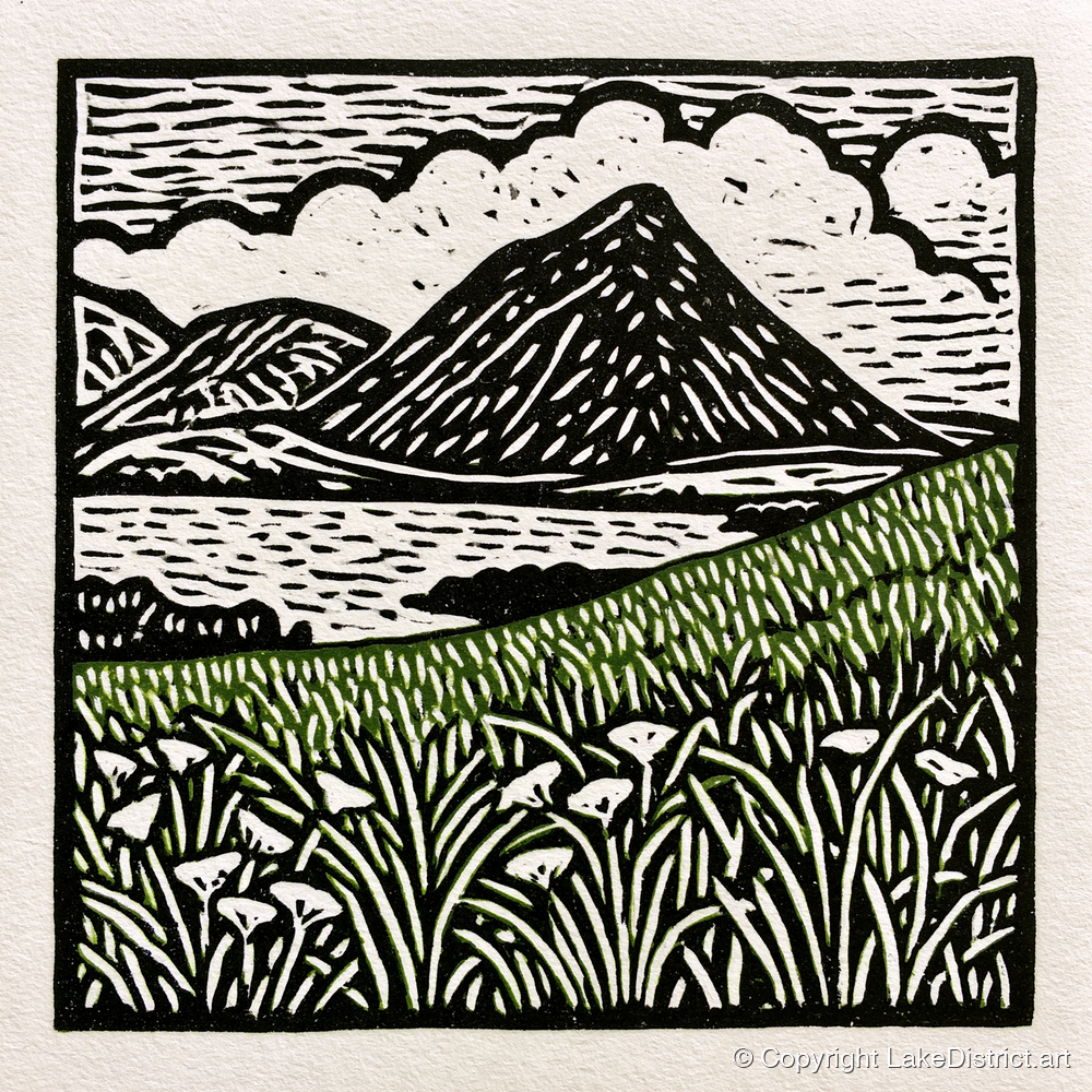 Bold Catbells and Wild Grasses - lake district fell art print and canvas by Isaac Denton A.I