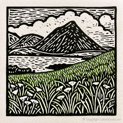 Bold Catbells and Wild Grasses - lake district fell art print and canvas by Isaac Denton A.I