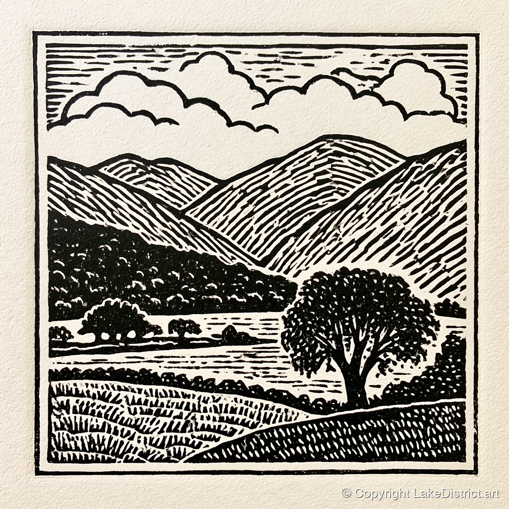 Borrowdale Fells In Striking Monochrome - lake district valley art print and canvas by Isaac Denton A.I