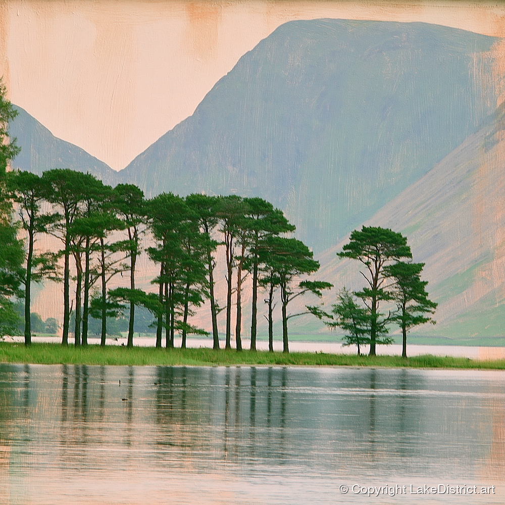 Buttermere Pines in Still Water - lake district lake art print and canvas by Arabella Knight A.I
