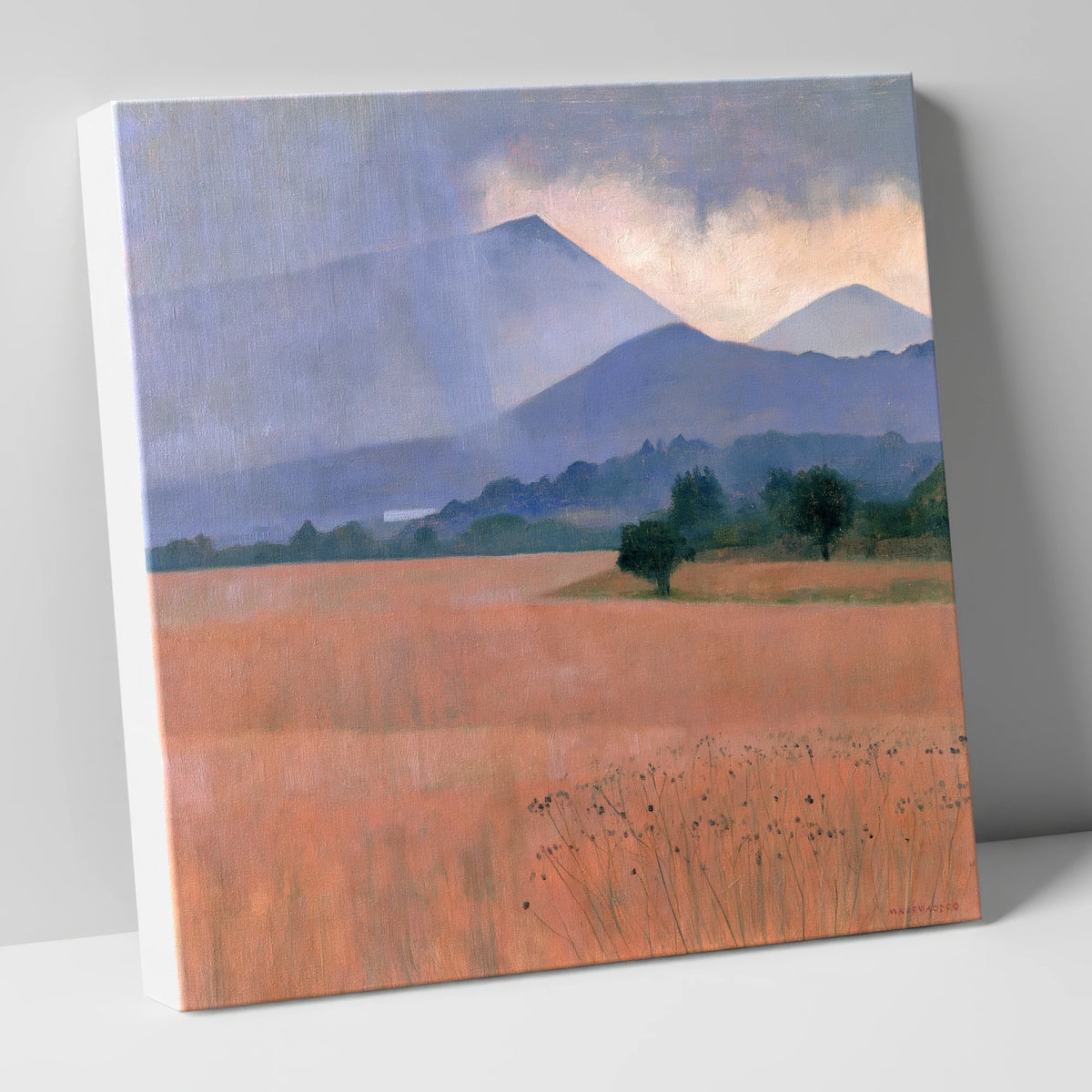 Distant Storm Over The Fells lake district sky canvas wall art