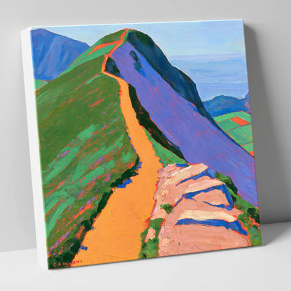 Vibrant Catbells Ridge Path lake district fell canvas wall art