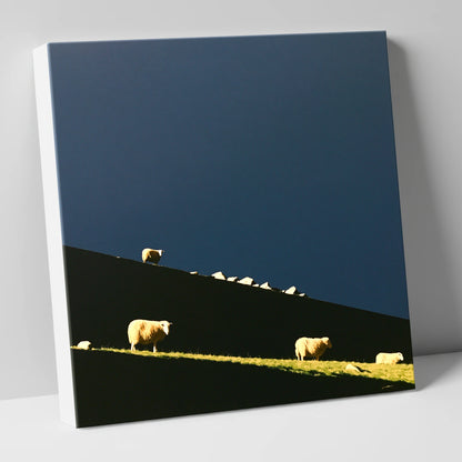 Herdwicks on a Silhouetted Fellside lake district wildlife canvas wall art