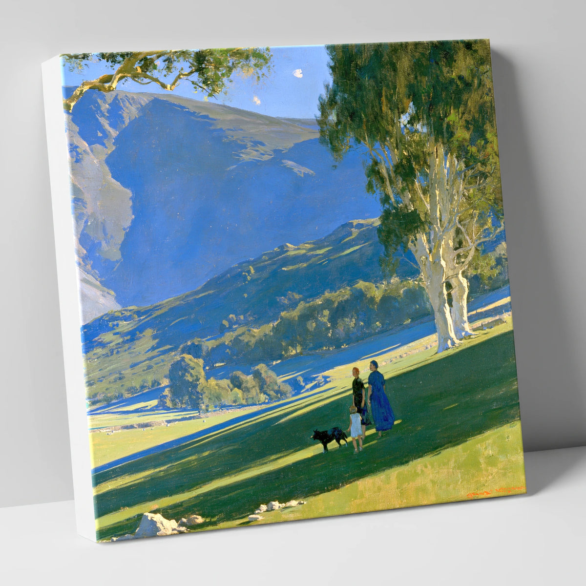 Sunlit Dog Walk in Patterdale gifts for dog walkers canvas wall art