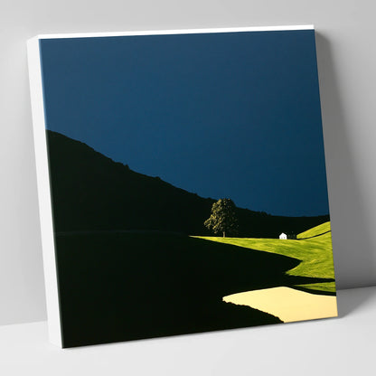 Sunlit Tree and Shadowed Fell lake district sky canvas wall art