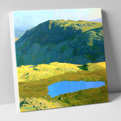 Vibrant Tarn Below Rosthwaite Fell lake district fell canvas wall art