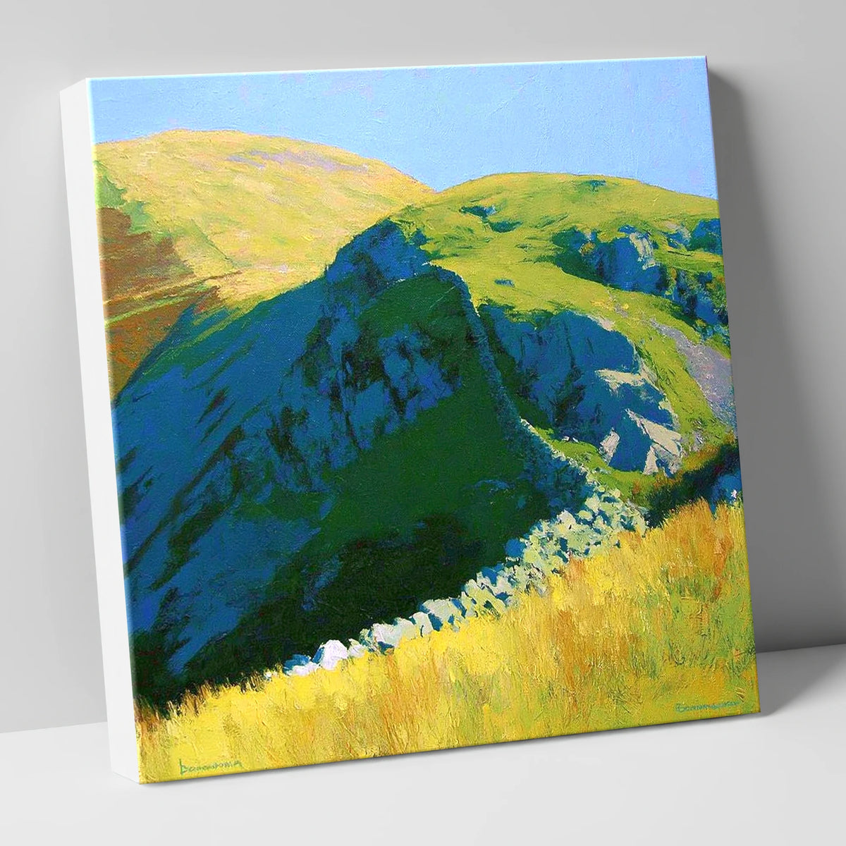 Sunlit Ridge on Birks Fell lake district fell canvas wall art