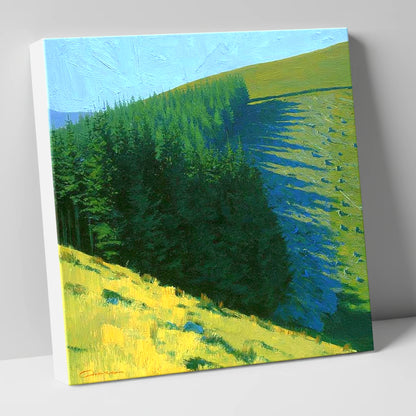 Conifer Shadows on Broom Fell lake district fell canvas wall art
