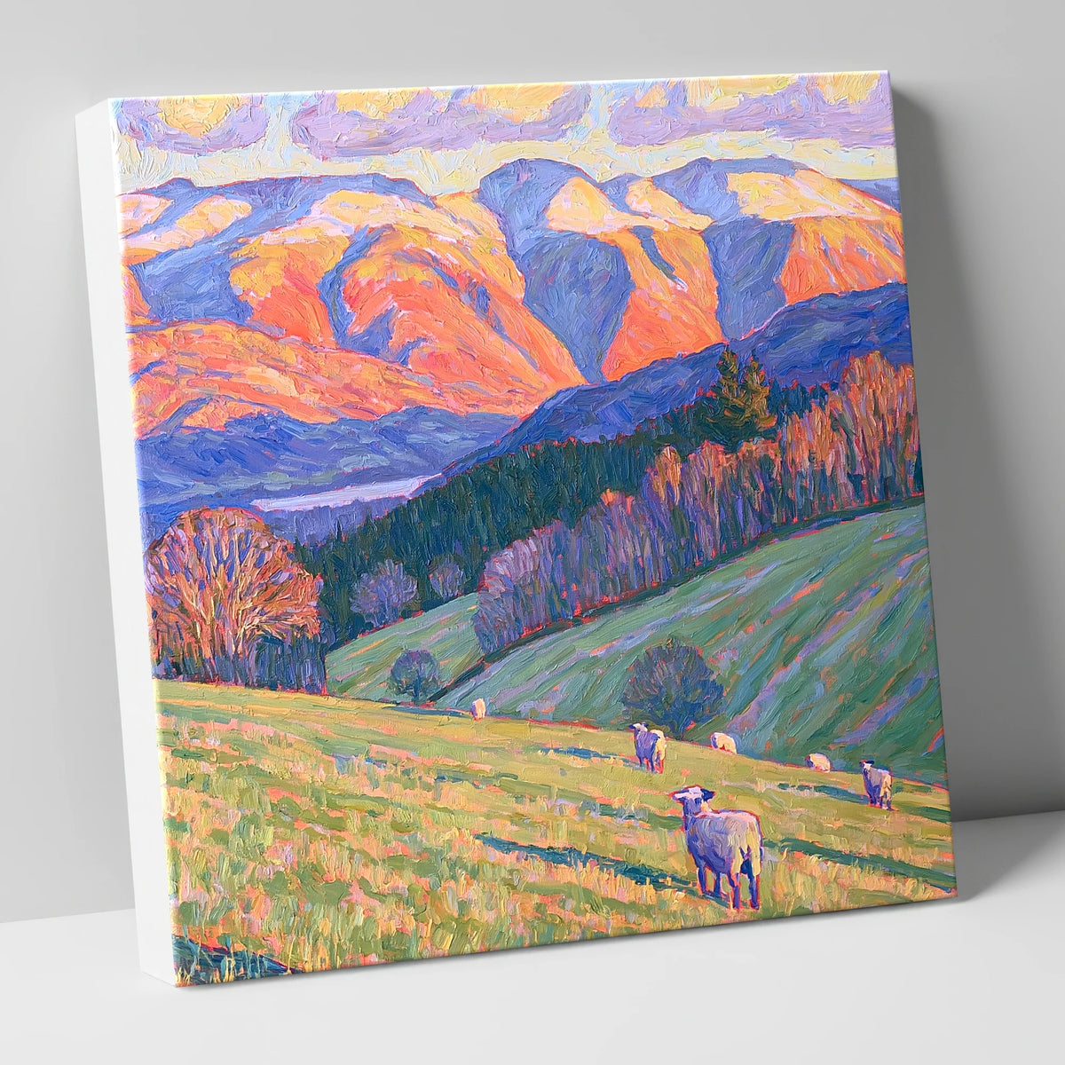 Hawkshead Pastures in Radiant Light lake district village canvas wall art