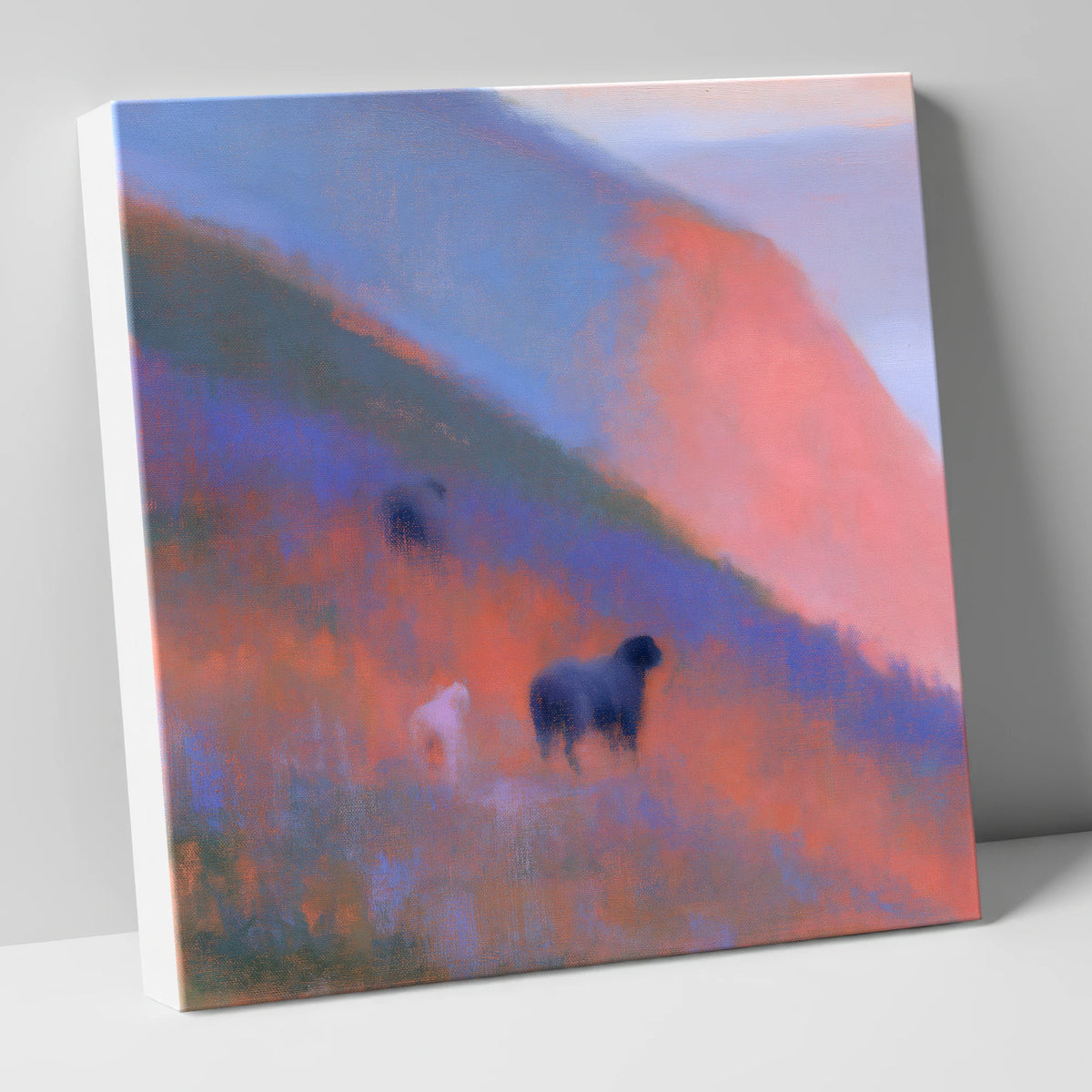 Herdwicks on a Twilight Fellside lake district wildlife canvas wall art