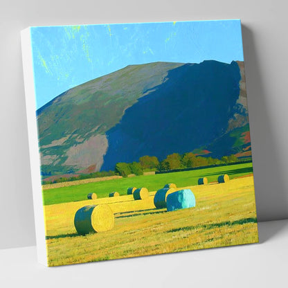 Blencathra Above Sunlit Hay Bales lake district fell canvas wall art