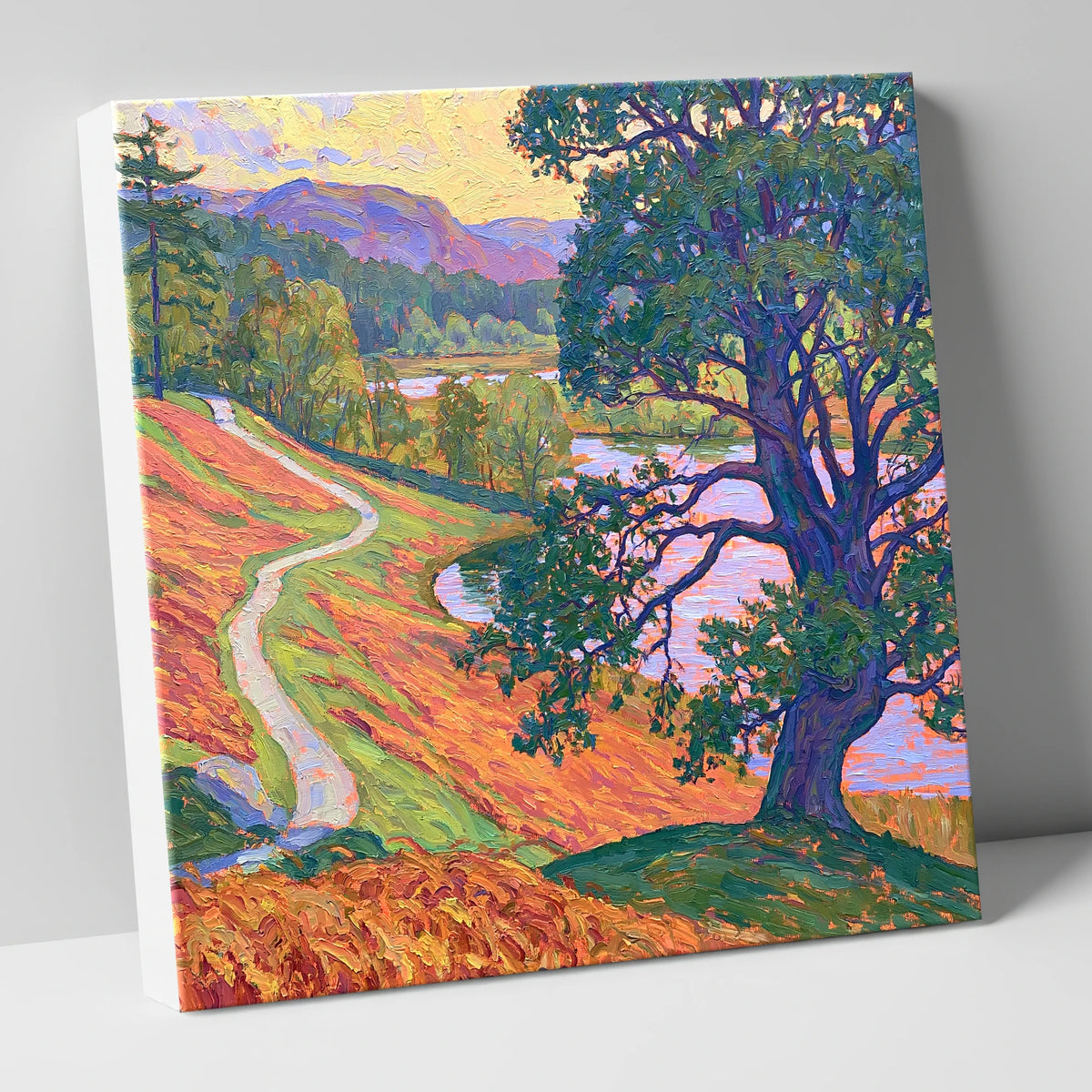 Vibrant Path at Tarn Hows lake district lake canvas wall art