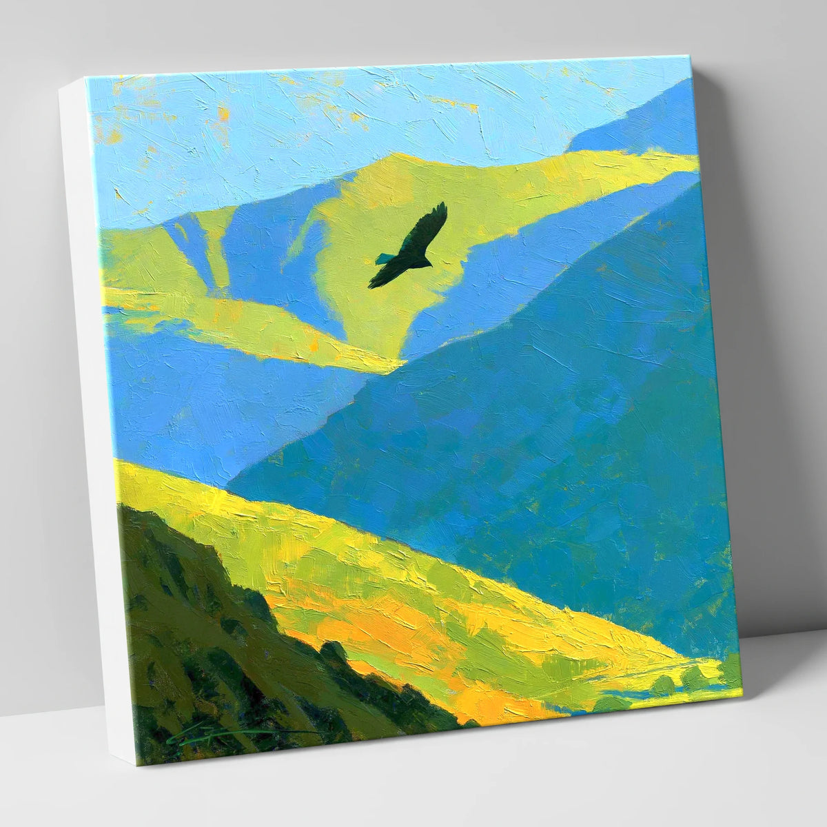 Soaring Bird of Prey Over Sunlit Fells lake district wildlife canvas wall art