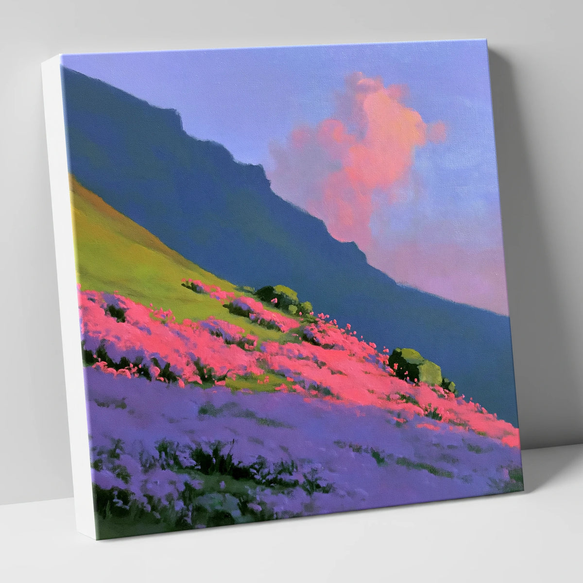 Vibrant Pink Heather Fellside flowers & fellsides canvas wall art