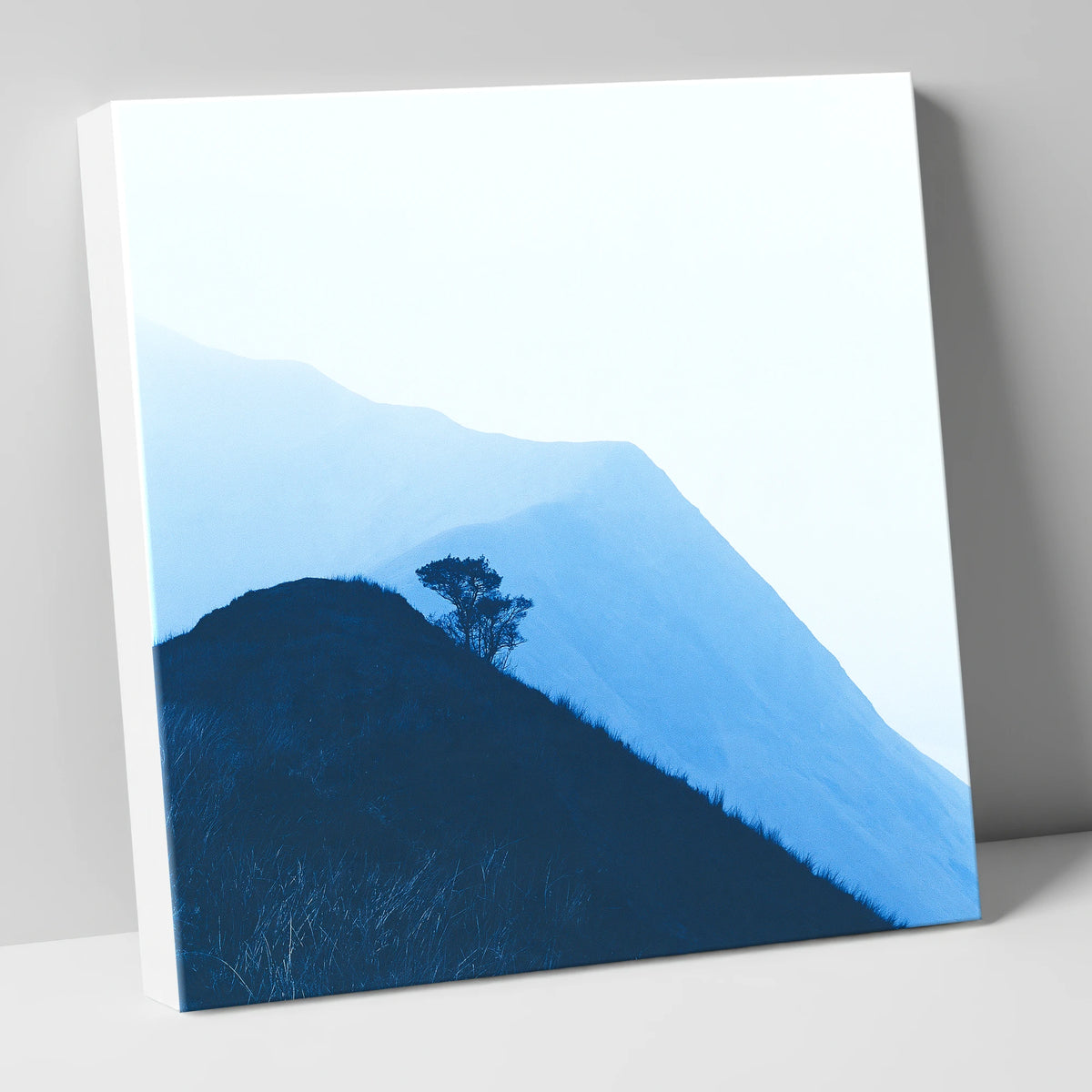 Lone Tree on Blue Ridge lake district fell canvas wall art