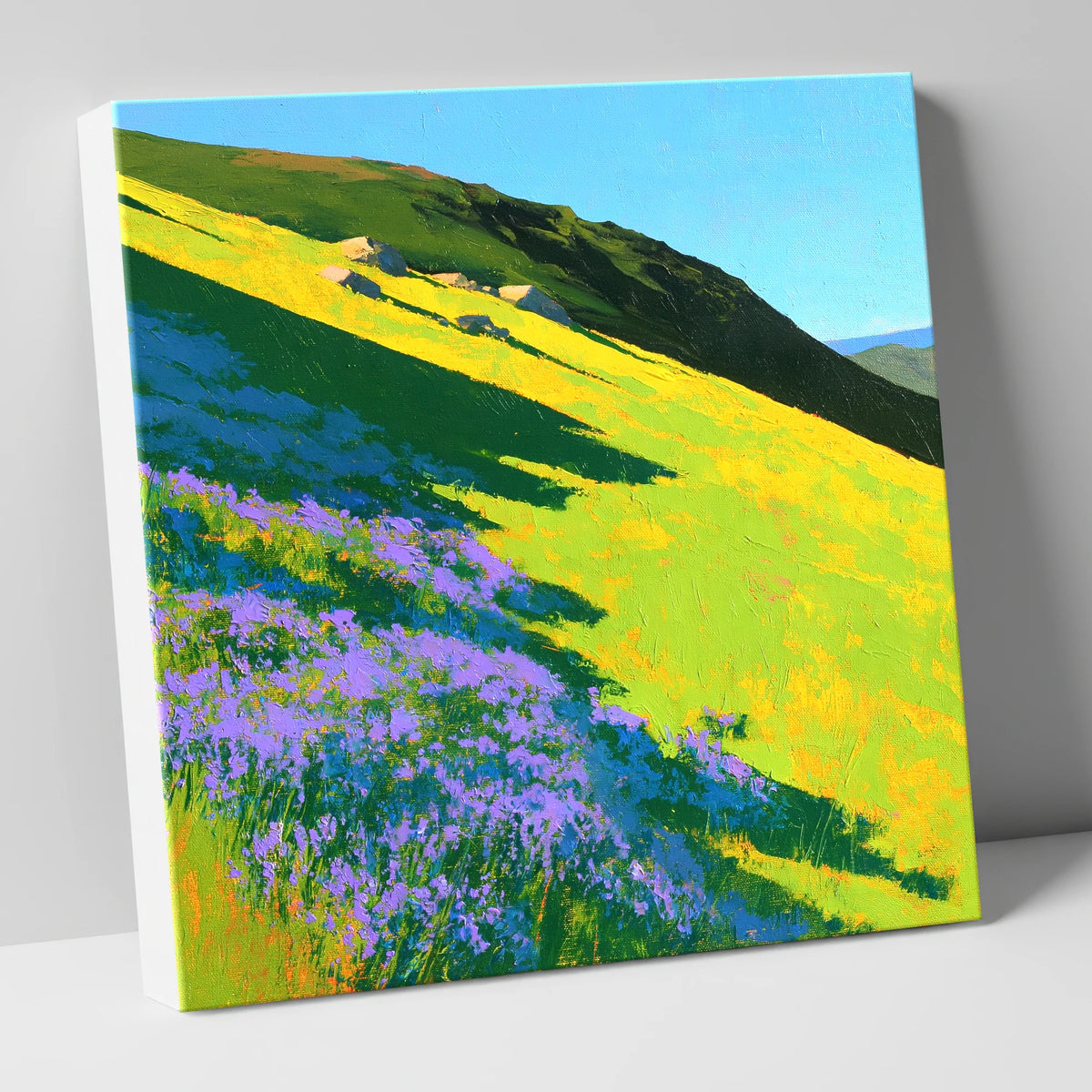 Purple Heather and Fellside Shadows flowers & fellsides canvas wall art
