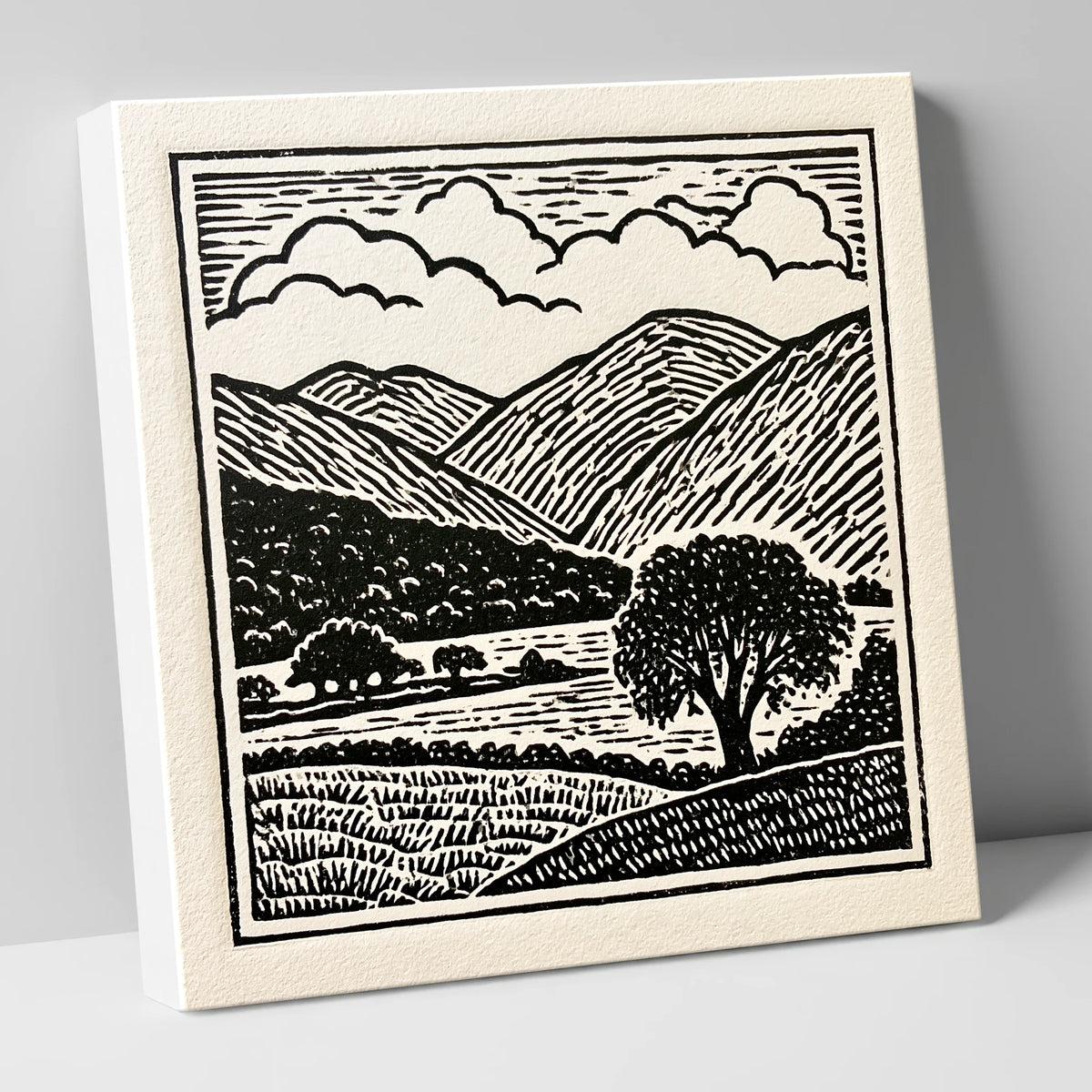 Borrowdale Fells In Striking Monochrome lake district valley canvas wall art