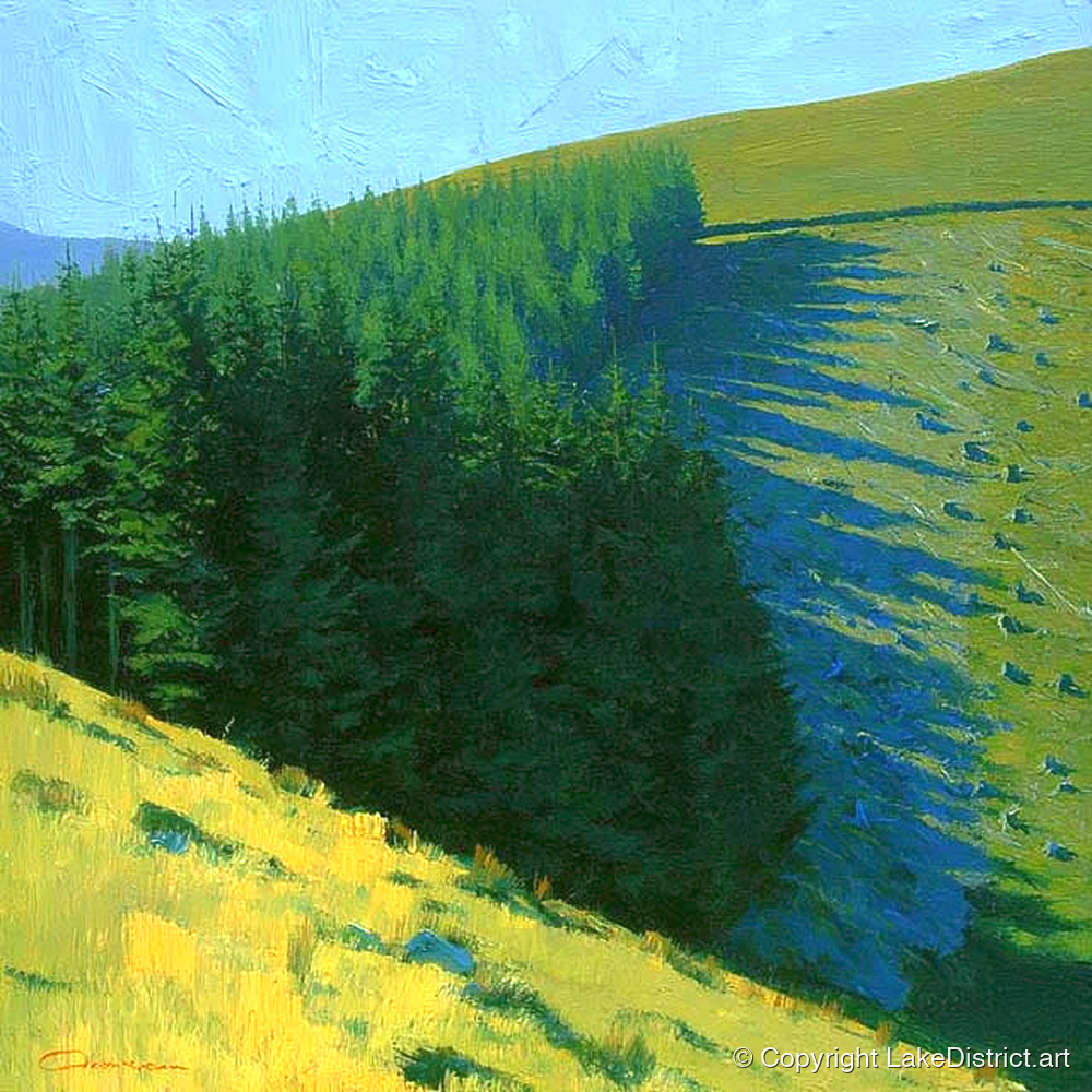 Conifer Shadows on Broom Fell - lake district fell art print and canvas by Daphne Morley A.I