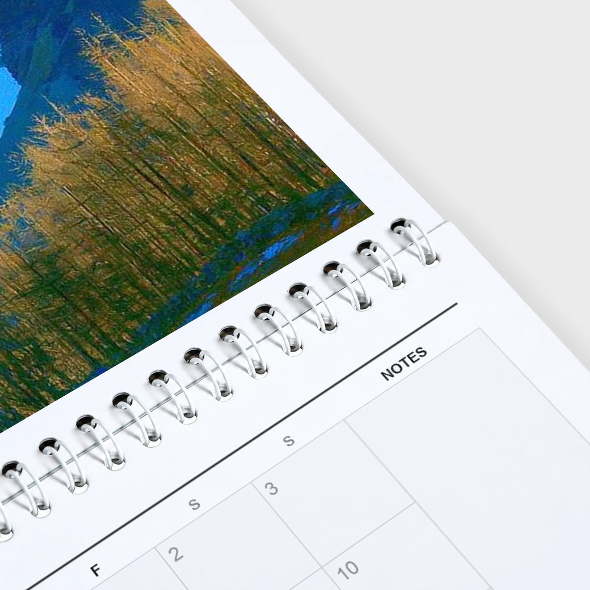 Daphne Morley 2027 wall calendar hanging in a corner